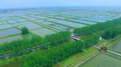 湖北省某水產養殖可行性報告案例(圖1)